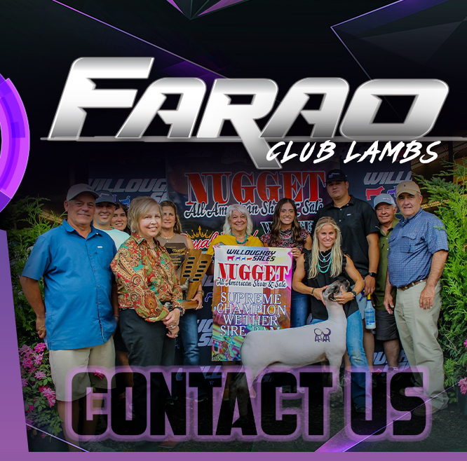 W2 Livestock and Farao Club Lambs - Contact Us