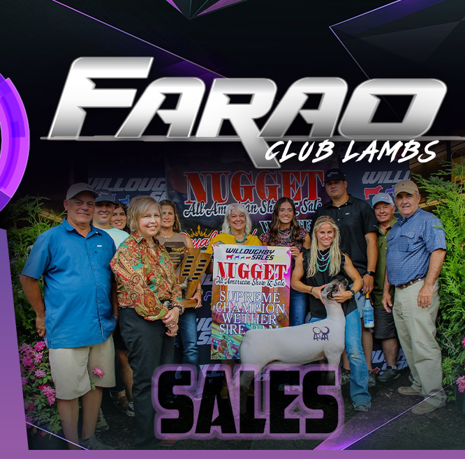 W2 Livestock and Farao Club Lambs - Sales