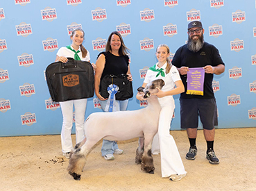 Champion 4-H Hampshire Lamb
Mid-State Fair