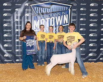 Petunia”
Champion Whiteface - Show A
Showdown in Motown “